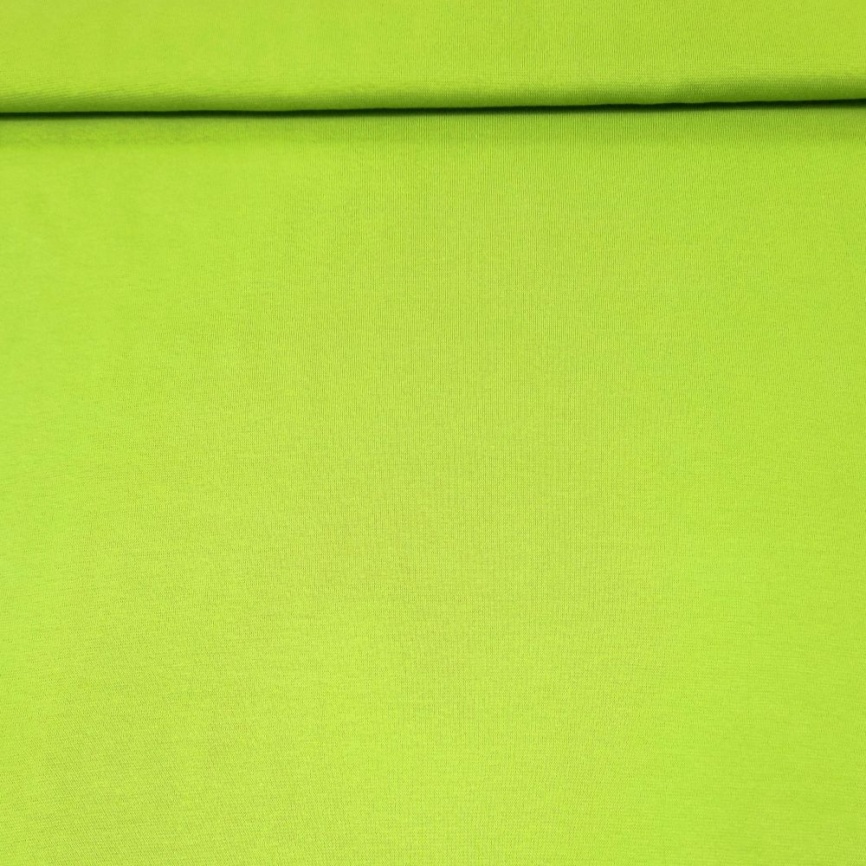 Трикотаж Футер 2-нитка Петля Фисташка фото 1