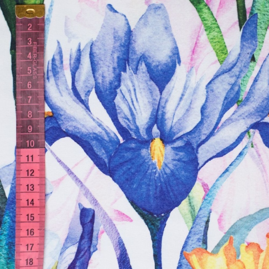 Трикотаж Футер 2-нитка Петля Ирисы фото 2