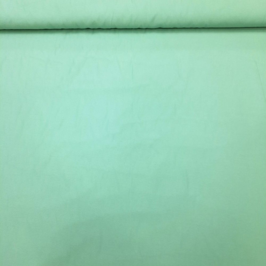 Трикотаж Кулирка Пыльный ментол фото 1