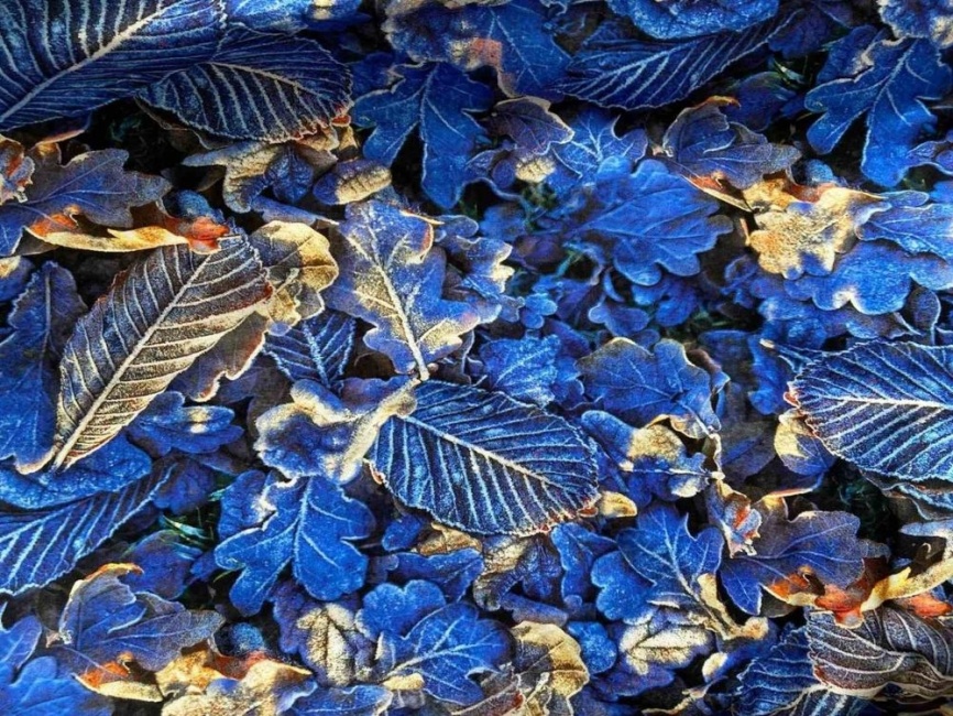 Трикотаж Футер 2-нитка Петля Иней фото 1