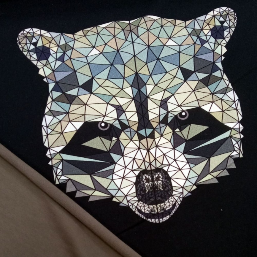 Трикотаж Футер 2-нитка Петля Купон Енот на чёрном фото 6