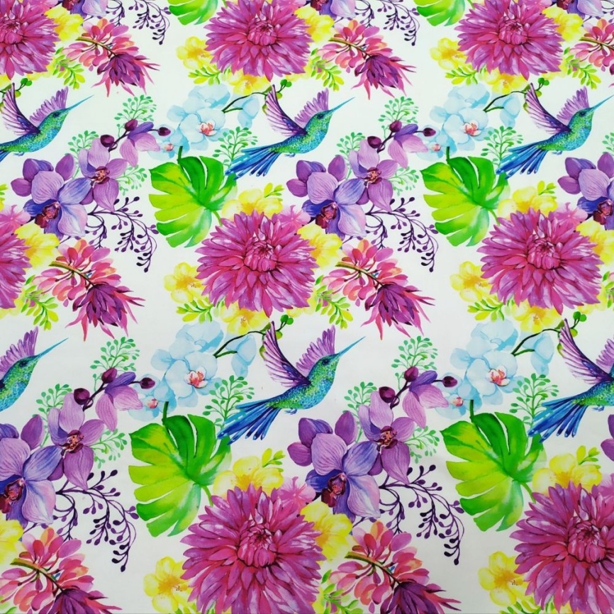 Трикотаж Футер 2-нитка Петля Колибри фото 1