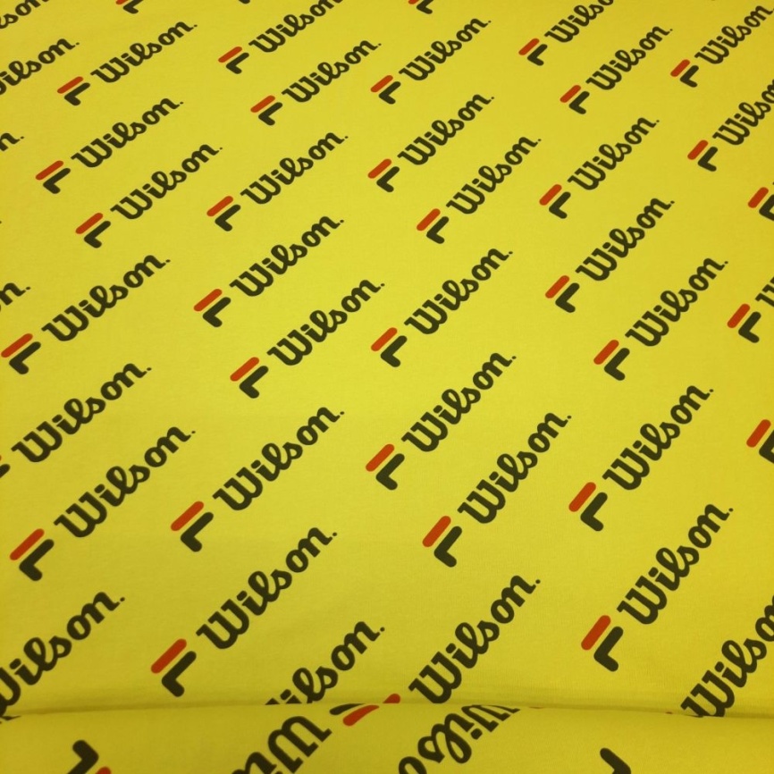 Трикотаж Футер 2-нитка Петля Уильям фото 1